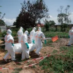 Red Cross volunteers in the Democratic Republic of the Congo carry the body of an Ebola victim on June 8, 2026 [AFP]